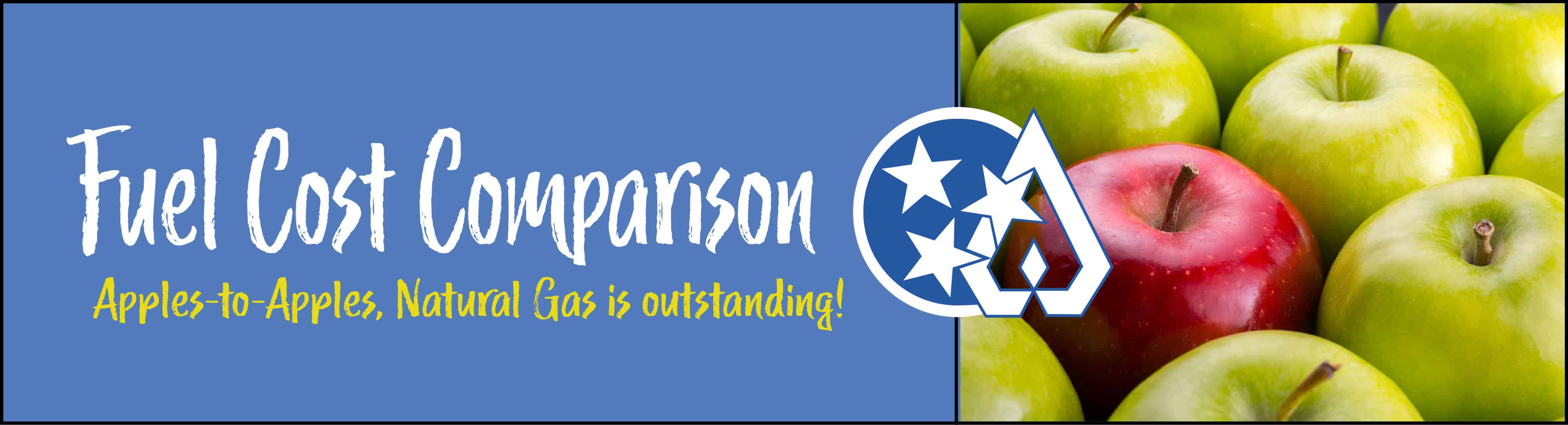 Fuel Cost Comparison Middle Tennessee Natural Gas Utility District