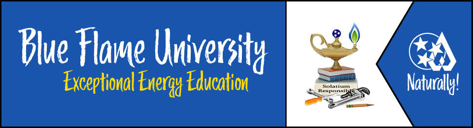 Blue Flame University