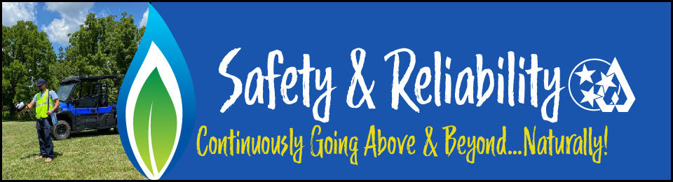 Safety and reliability