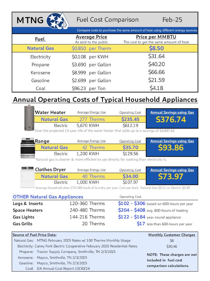Fuel cost comparison for February 2025