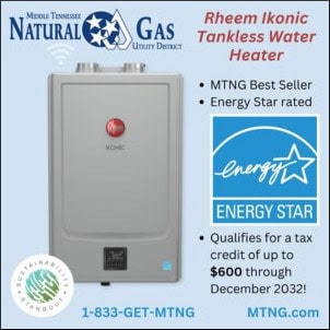 Rheem Ikonic Water Heaters